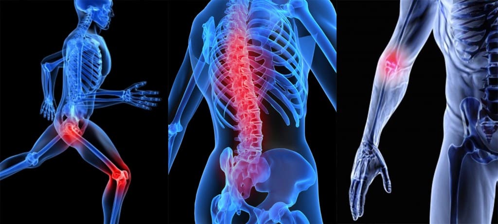 Суглоби та опорно-руховий апарат